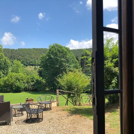 Villa Viola Lucca Buitenkant foto