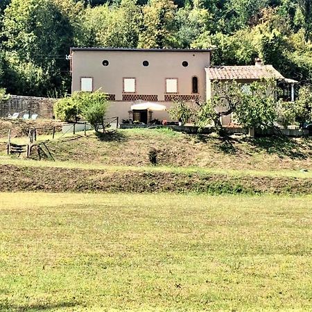 Villa Viola Lucca Buitenkant foto