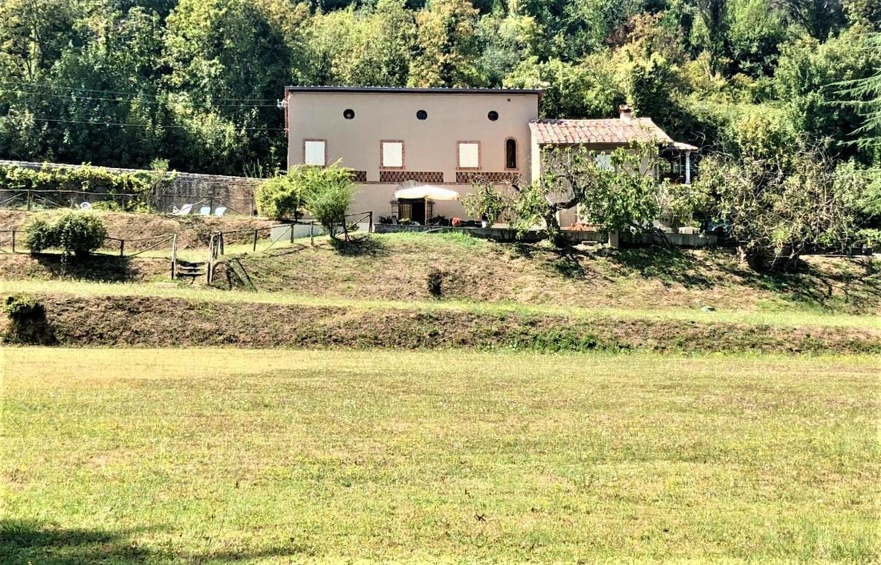 Villa Viola Lucca Buitenkant foto